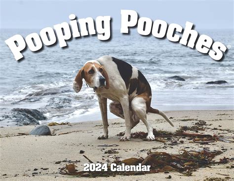 calendar of dogs pooping|Pooping Pooches White Elephant Gag Gift Calendar.